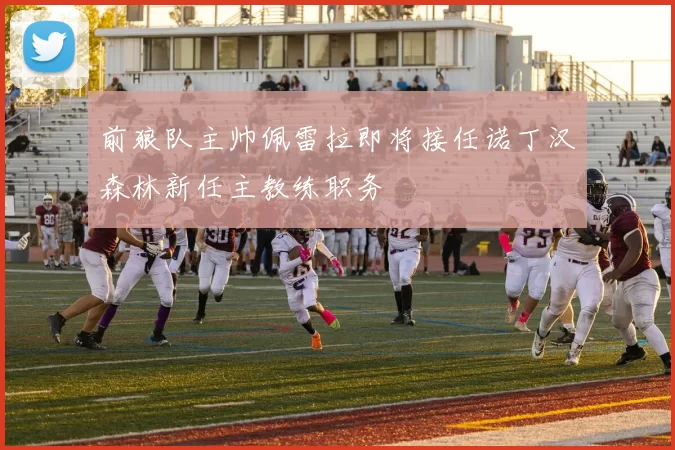 前狼队主帅佩雷拉即将接任诺丁汉森林新任主教练职务