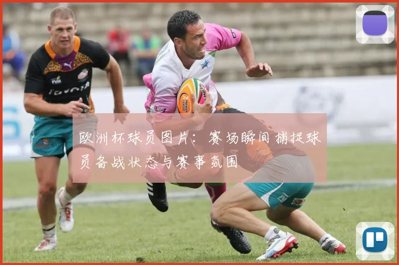欧洲杯球员图片：赛场瞬间捕捉球员备战状态与赛事氛围