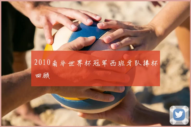 2010南非世界杯冠军西班牙队捧杯回顾