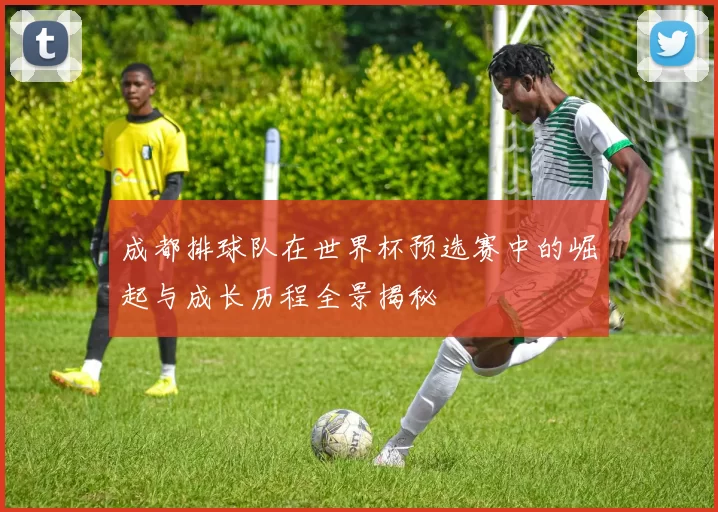 成都排球队在世界杯预选赛中的崛起与成长历程全景揭秘