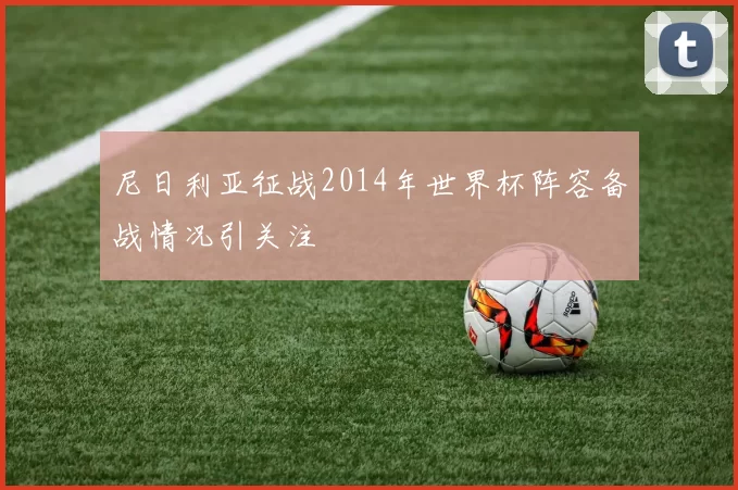 尼日利亚征战2014年世界杯阵容备战情况引关注