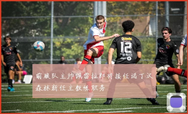 前狼队主帅佩雷拉即将接任诺丁汉森林新任主教练职务