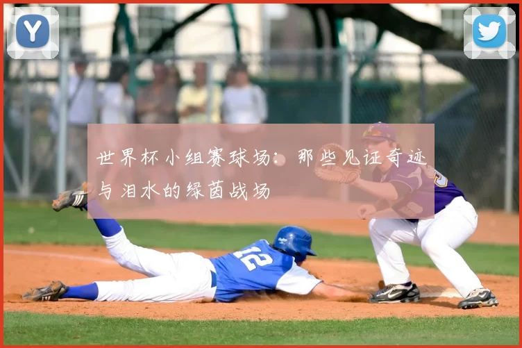 世界杯小组赛球场:那些见证奇迹与泪水的绿茵战场