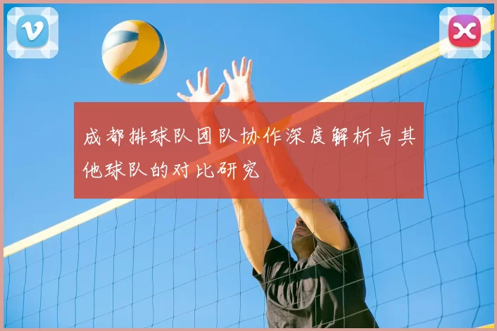 成都排球队团队协作深度解析与其他球队的对比研究