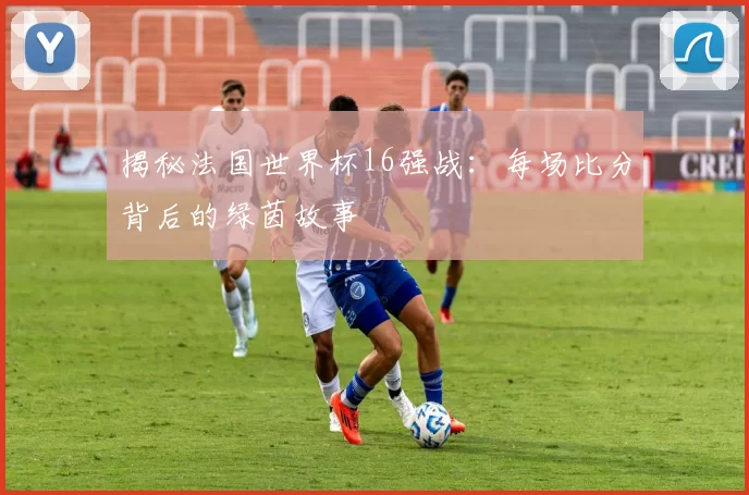 揭秘法国世界杯16强战:每场比分背后的绿茵故事