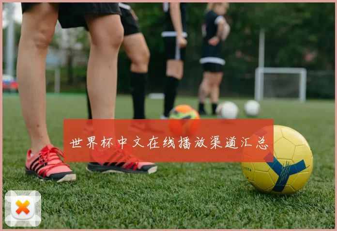 世界杯中文在线播放渠道汇总