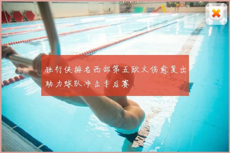独行侠排名西部第五欧文伤愈复出助力球队冲击季后赛