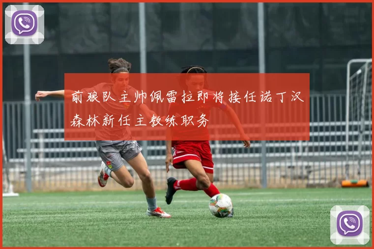 前狼队主帅佩雷拉即将接任诺丁汉森林新任主教练职务