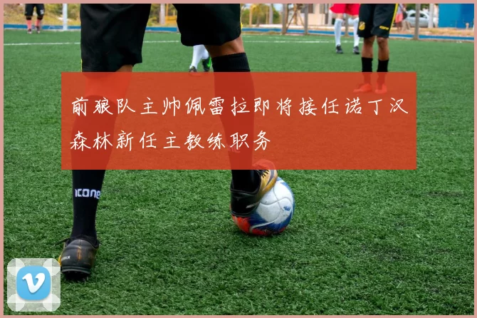 前狼队主帅佩雷拉即将接任诺丁汉森林新任主教练职务