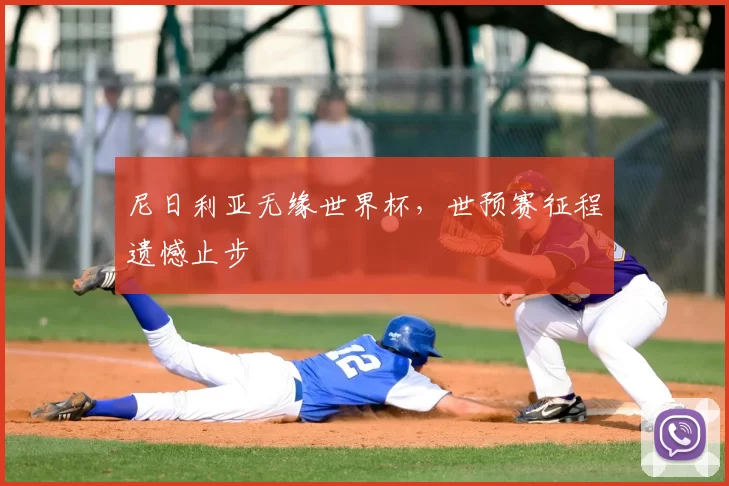 尼日利亚无缘世界杯，世预赛征程遗憾止步