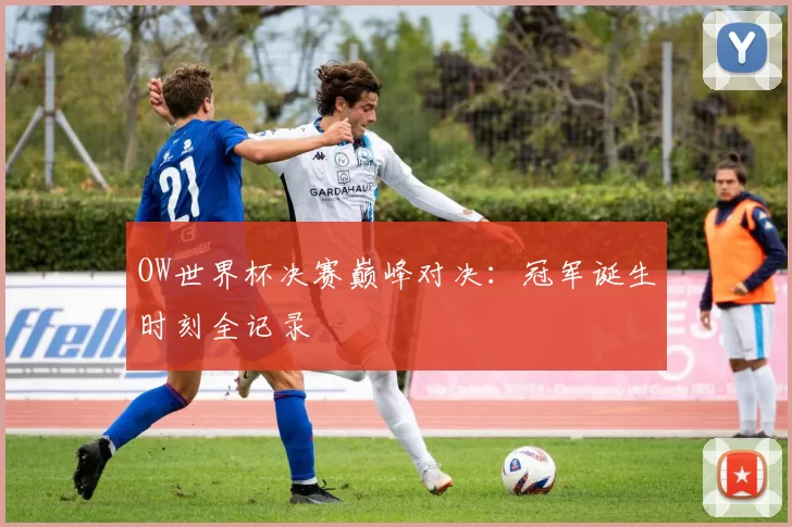 OW世界杯决赛巅峰对决:冠军诞生时刻全记录