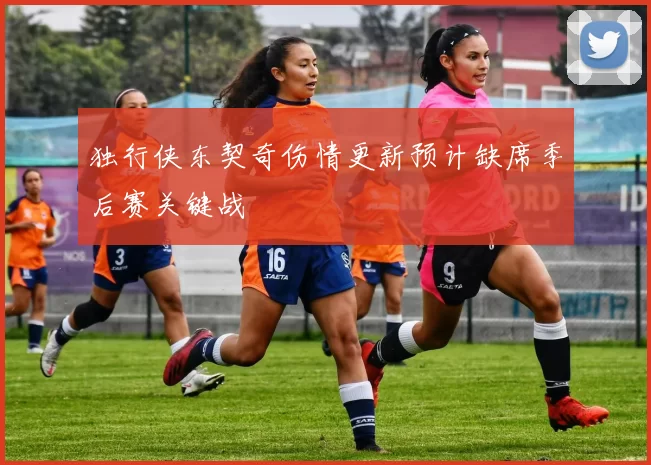 独行侠东契奇伤情更新预计缺席季后赛关键战