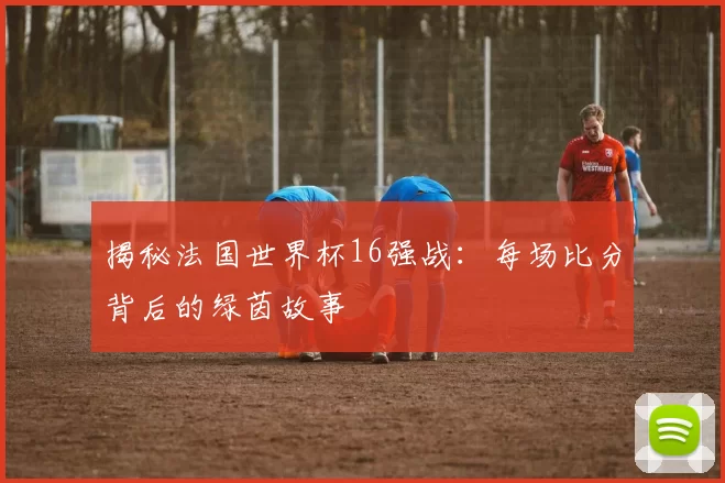 揭秘法国世界杯16强战：每场比分背后的绿茵故事