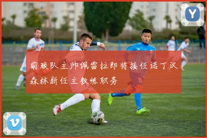 前狼队主帅佩雷拉即将接任诺丁汉森林新任主教练职务