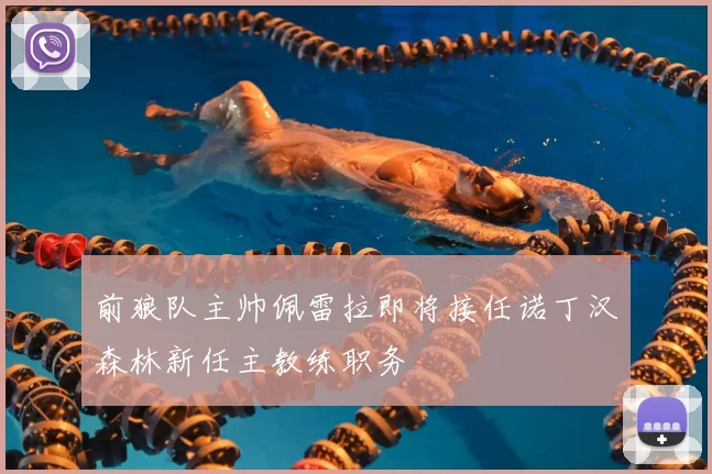 前狼队主帅佩雷拉即将接任诺丁汉森林新任主教练职务