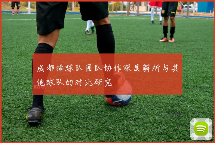 成都排球队团队协作深度解析与其他球队的对比研究